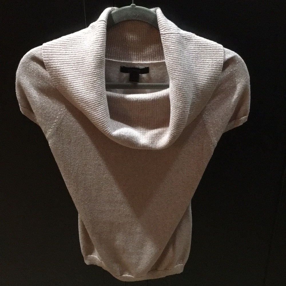 🛍 Short Sleeve Mauve with Gold Threads Blouse